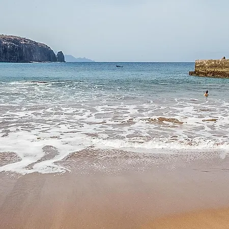 El Gato Del Mar Sardina