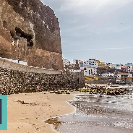 El Gato Del Mar Daire Sardina