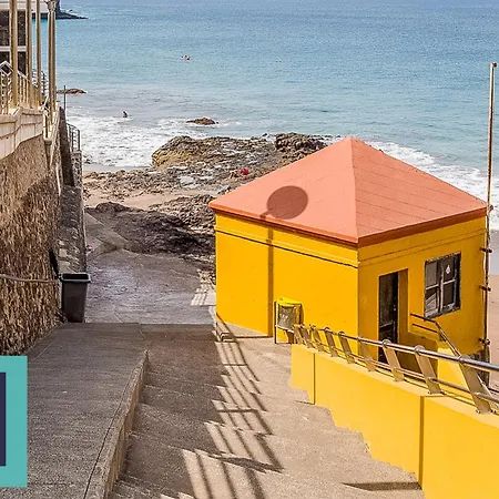 El Gato Del Mar Sardina