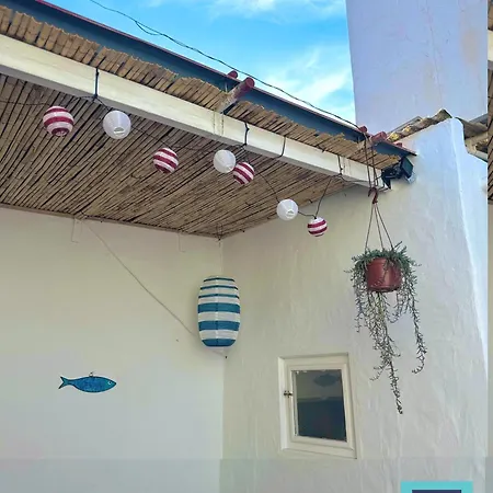 Daire El Gato Del Mar Sardina