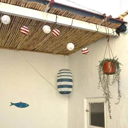 Daire El Gato Del Mar Sardina