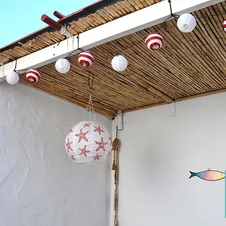 El Gato Del Mar * Sardina